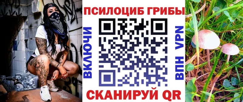 Псилоцибиновые грибы Psilocybine cubensis  купить  цена  Новая Ляля 